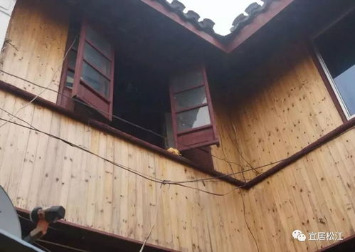 修舊如舊,各部門(mén)攜手集思廣益,松江古建筑集體煥發(fā) 青春